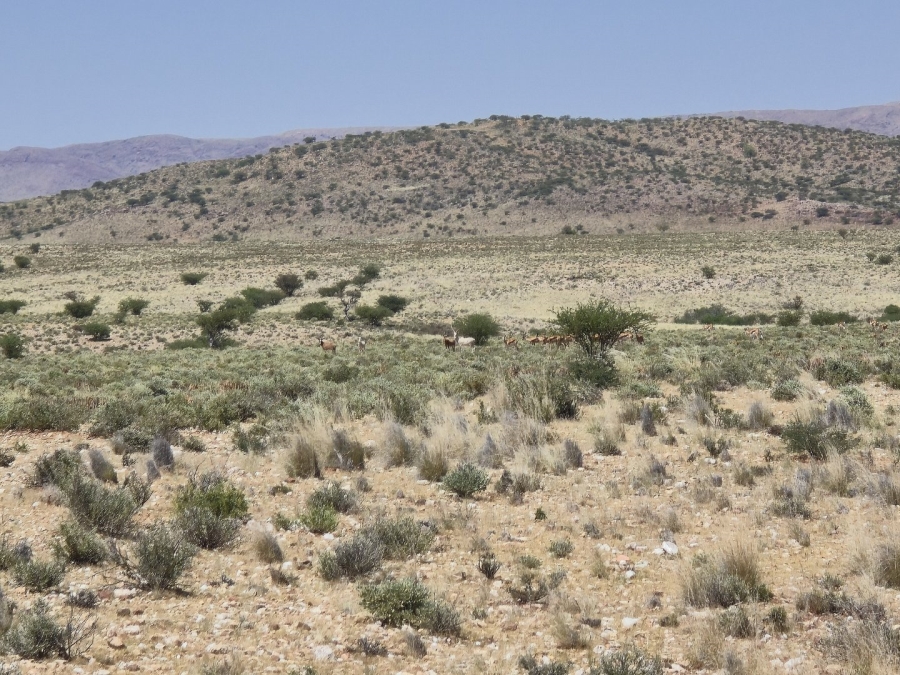 Commercial Property for Sale in Upington Rural Northern Cape